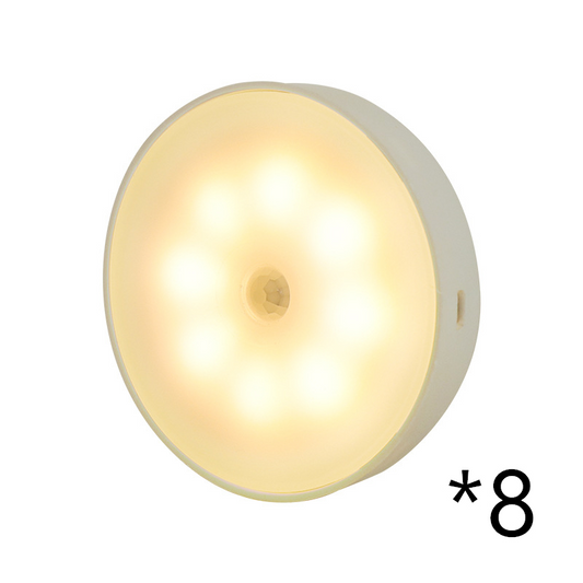 USB Rechargeable Motion Sensor LED Light