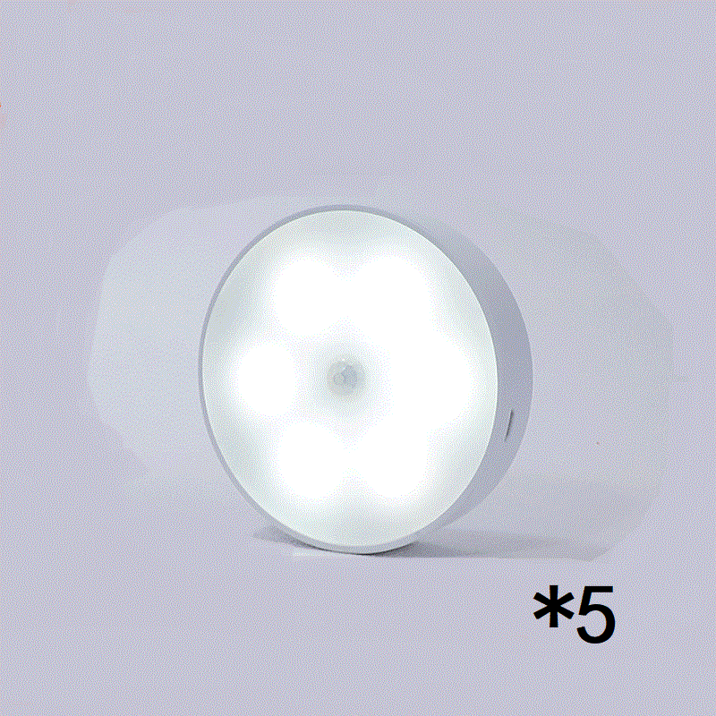 USB Rechargeable Motion Sensor LED Light