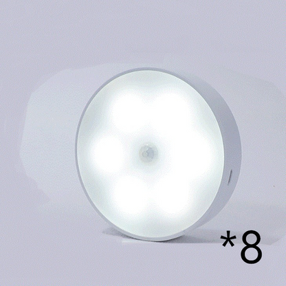 USB Rechargeable Motion Sensor LED Light