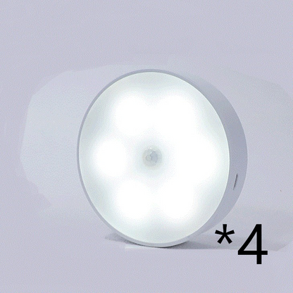 USB Rechargeable Motion Sensor LED Light