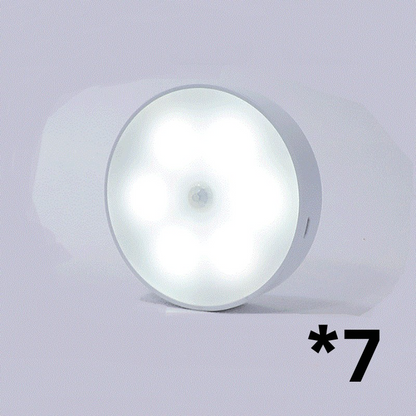 USB Rechargeable Motion Sensor LED Light