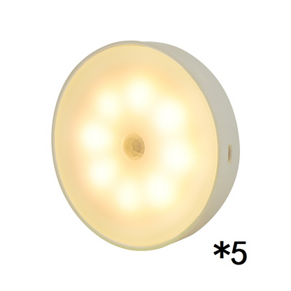 USB Rechargeable Motion Sensor LED Light